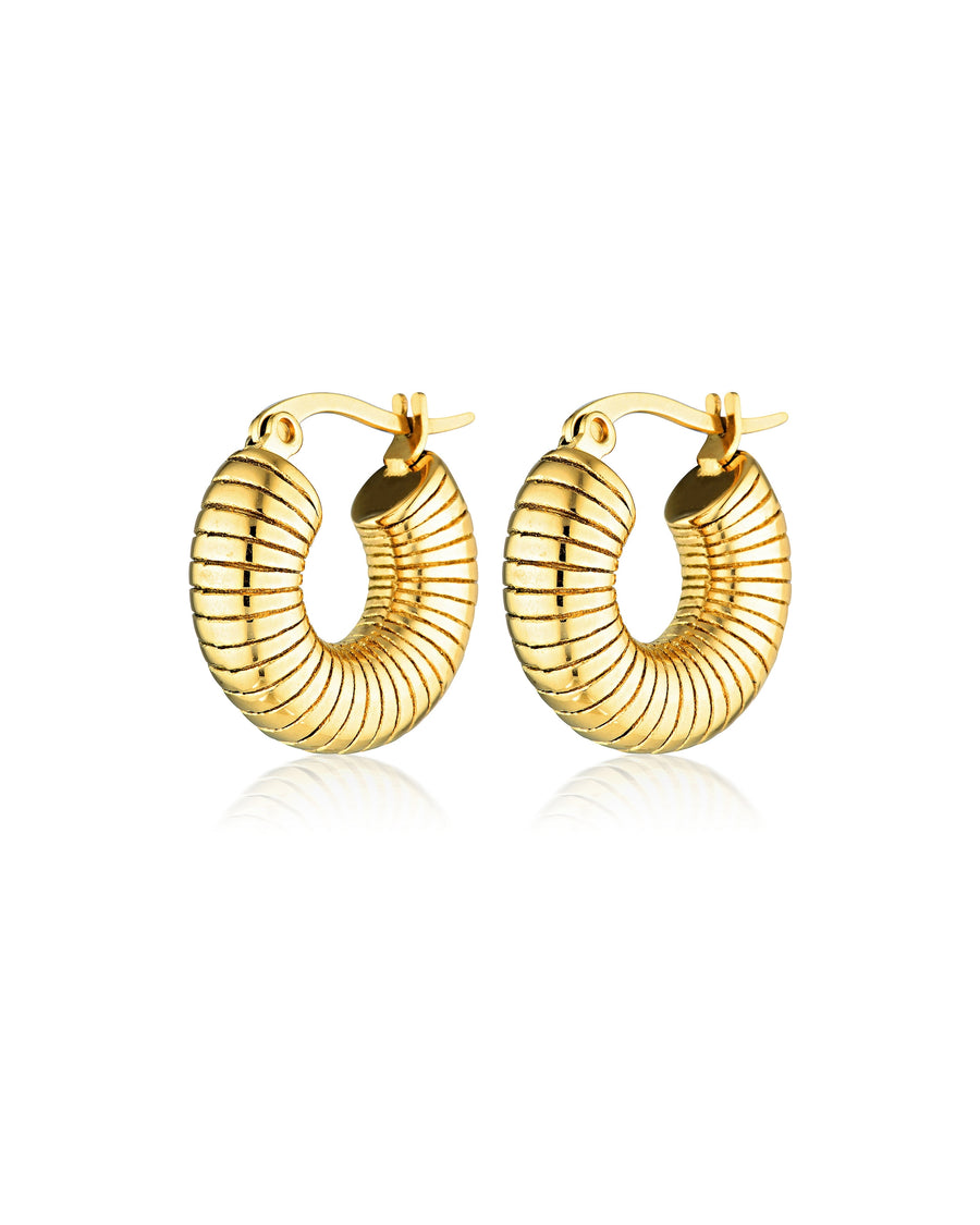 Stainless Steel 18k Gold Plated Hoops